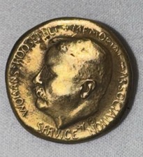 Antique Theodore Roosevelt Women’s Memorial Assoc SERVICE Pin c1919 TR Badge picture