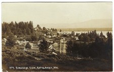 1914 Washington State RPPC - Birdseye View, Cathlamet WA (Columbia River Photo) picture