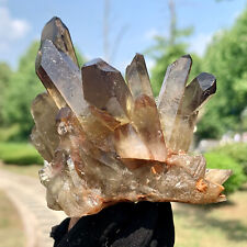 225G  Natural Himalayan Black Smoked Crystal Meditation Energy Crystal cluster picture