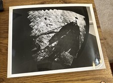 Office of Public Information NASA Moon Photo June 1966 Surveyor I-21 picture