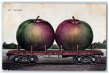 1912 Hand Colored Apple Exaggerated Jeffersonville Ohio Vintage Antique Postcard picture