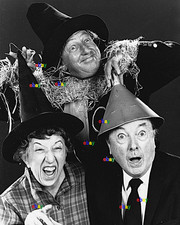 RAY BOLGER MARGARET HAMILTON & JACK HALEY WIZARD OF OZ 8