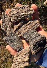 ☘️RR⛏️: 6 PCS Arizona Petrified Wood W/druzy Smoky Quartz, 1 Lb picture