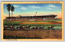 c1940s Santa Anita Park Arcadia California Los Angeles Turf Club Linen Postcard picture