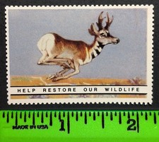 Vintage Pronghorn Antelope Restore Wildlife Poster Stamp picture