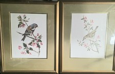 Lot Of 2 Signed Vintage Matted - Framed A.Marlin Bird Art Print 15x12” SW18 picture