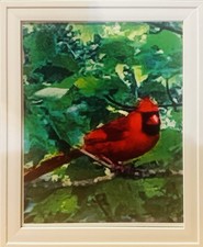 8x10 Red Cardinal In Tree (No Frame) Photography Wall Art/Color Photo Print picture