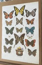 Vintage Forrest Service Smokey Bear Butterfly Poster -, 20