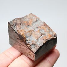 146g Muonionalusta meteorite part slice  A2127 picture