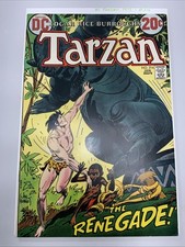 DC Comics Tarzan #216 1973 Edgar Rice Burroughs - Joe Kubert cover VF/NM Bronze picture