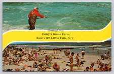 Daley's Game Farm Little Falls NY Beach Surf Fishing Vintage Postcard Dexter picture