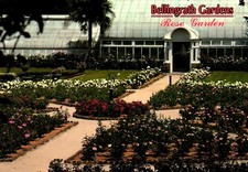 Rose Garden Bellingrath Gardens Theodore Alabama Postcard picture