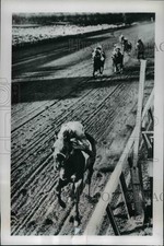 1950 Press Photo Hialeah races Florida Rash Night wins vs Big Juice, Cervantes picture
