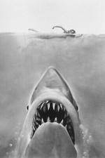 JAWS B&W 24X36 POSTER PRINT SHARK & SWIMMER picture