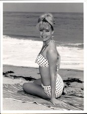 LDE6 1963 Original NBC Photo CHRIS NOEL POLKA-DOT BIKINI PIN-UP 