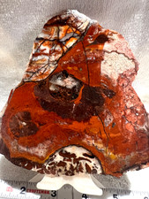 Large Mexican Crazy Lace Slab - 224g picture