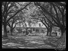 Natchitoches Parish,Louisiana,Melrose,LA,Farm Security Administration,FSA,2 picture