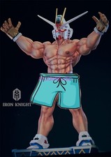 Freedom Fighter Model Pre-order IRON KNIGHT Studio 1/6 Scale Painted Replaceable picture