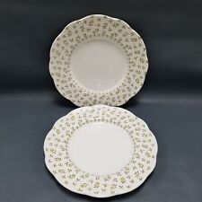 2 Lovely J & G MEAKIN England Forget-Me-Not Dinner Plates 10.5