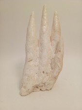 Vintage 12