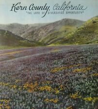 Bakersfield Kern County CA History Illustrated Downtown Oil Agriculture 1937 picture