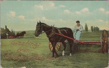 Greetings From Cahoonzie Park Inn New York NY Horse Hay Rake Farm 1900s Postcard picture