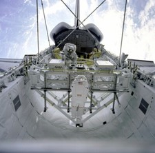 STS-49 Endeavour MS Kathryn C Thornton Thomas D Akers EVA Spacewalks 12X12 PHOTO picture