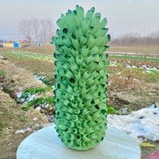 28LB New find green phantom crystal quartz  cluster mineral specimen healing picture