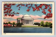 Washington D.C. Jefferson Memorial, Cherry Blossoms, Antique Vintage Postcard picture