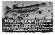 J27/ Hayward Wisconsin RPPC Postcard c1950s Largest Muskellunge Fish 50 picture
