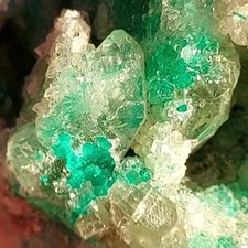 LARGE RARE DIOPTASE INCLUDED QUARTZ, CHRYSOCOLLA, CALCITE CONGO DRC picture