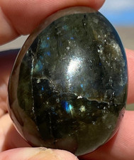 Handmade Labradorite Carved Egg 366ct Blue Flash Polished Lapidary Art 44.8mm picture