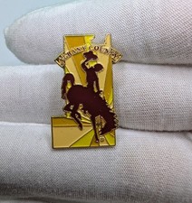 Vintage Albany County Wyoming Bucking Bronco Steamboat State Map Lapel Pin picture
