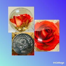 Vintage HTF 1991 Hafod Grange Original Collection Red Rose Resin Paperweight picture