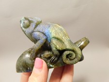 Chameleon Lizard Figurine Labradorite  Stone Animal Carving #O216 picture