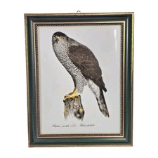 Vintage Swedish Rörstrand Porcelain- John Gould, Eurasian Goshawk, Bird of Prey  picture