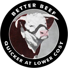 1948 Style HERFORD Cows - Better Beef NEW Sign 28