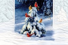 16 Boxed Embossed Christmas Cards Cardinals on Snow Covered Evergreen picture