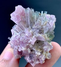 Tourmaline Crystals Cluster specimen From Afghanistan 225 Carat picture