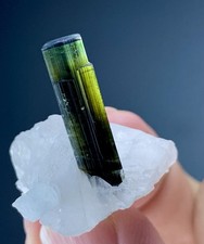 57 Ct Green Cap Tourmaline Crystal with Matrix Stak Nala From Pakistan picture