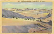 Vintage California Linen Postcard The American Sahara Sand Dunes on Desert picture