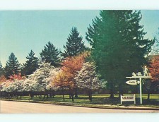 Unused Pre-1980 LOG HOUSE SIGN Berea Kentucky KY  hn1812 picture