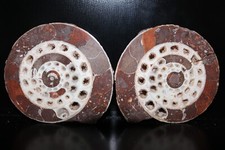 Split Timor Ammonite Pair – UV Reactive 3 1/4