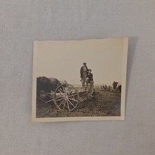 1922 South Dakota Farm Seeder Grain Drill Horse Team Antique B&W Photo picture