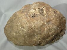 Big Large Unopened Kentucky Geode 19.4lb Rare Crystal Quartz Unique Gift 11in picture
