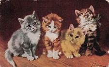 Kittens Portrait Foster Fail Cat Dorothy Kindt Enid Oklahoma Vtg Postcard 9A picture