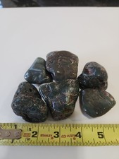 Hampton Bute Petrified Wood Oregon 1.18 Pounds picture