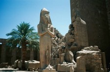Statue of Pinudjem a High Priest of Amon Karnak Temple Complex anc- Old Photo picture