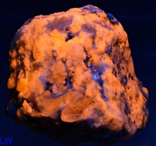 439 Gram Fluorescent Afghanite Rich Specimen w/ Phlogophite Pyrite & Calcite picture