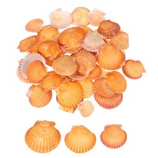 60Pcs 1.6